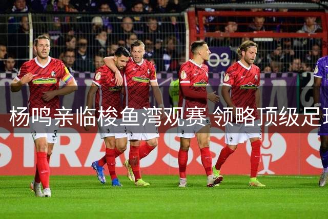 杨鸣亲临梭鱼湾观赛 领略顶级足球文化底蕴
