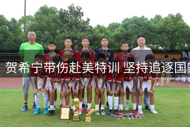 贺希宁带伤赴美特训 坚持追逐国家队梦想